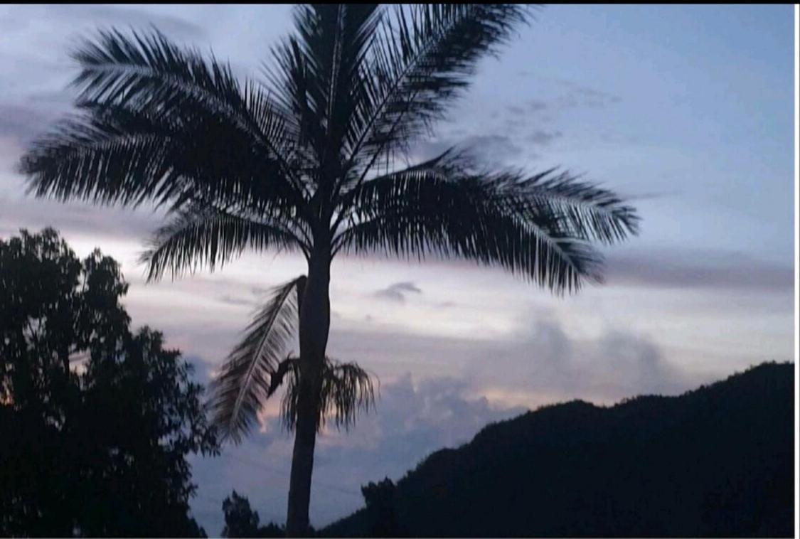 Au Coeur Des Plantations Guest House La Possession Exterior foto