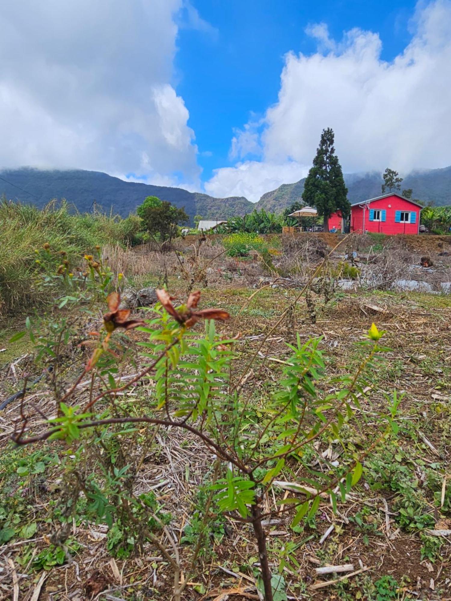 Au Coeur Des Plantations Guest House La Possession Exterior foto